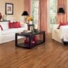 Congoleum ArmorCore UR Wood Ridge 12-ft W Cut-to-Length Autumn Bronze Wood Look Low-Gloss Finish Sheet Vinyl