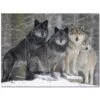 Wolf Wolves Ceramic Tile Mural Kitchen Backsplash Bathroom Shower 403125-S43 -Discount Flooring Store 0be6a1be 873e 4407 823b c1abf3473d97 1.0cec6fc6d28dfd64fba5e0499f4909d8 1800x1800