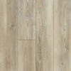 Shaw Prismatic Plus Glacier Pine 7-in Wide X 5-1/2-mm Thick Waterproof Luxury Vinyl Plank Flooring (18.91-sq Ft) -Discount Flooring Store 11702895 1800x1800