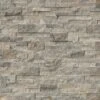 MSI Trevi Gray Ledger Panel 6 In. X 24 In. Natural Travertine Wall Tile (10 Cases / 60 Sq. Ft. / Pallet) 2 MSI Trevi Gray Ledger Panel 6 In. X 24 In. Natural Travertine Wall Tile (10 Cases / 60 Sq. Ft. / Pallet) -Discount Flooring Store 4f20b81227cc29edf0e91352204cb868 1800x1800