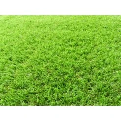 TrafficMaster 26 In. X 36 Ft. Artificial Grass Runner -Discount Flooring Store 6fd097733d27915bfecdf8e697c09105 1800x1800