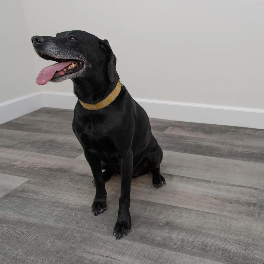 CALI Long-Board Vinyl Pro 6-Piece 9-in X 70.87-in Windswell Hickory Luxury Vinyl Plank Flooring 7 CALI Long-Board Vinyl Pro 6-Piece 9-in X 70.87-in Windswell Hickory Luxury Vinyl Plank Flooring - Image 5