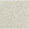 Armstrong Imperial Texture VCT 12 In. X 12 In. X 3/32 In. Shelter White Standard Excelon Vinyl Tile (45 Sq. Ft. / Case) 1 Armstrong Imperial Texture VCT 12 In. X 12 In. X 3/32 In. Shelter White Standard Excelon Vinyl Tile (45 Sq. Ft. / Case) -Discount Flooring Store 92ad2b938c888dbb7c4d704e9b7cea70 69b42a91 e31e 46cf ba16 977e644634d6 1800x1800