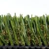 StarPro Greens St. Augustine Ultra 15 Ft. Wide X Cut To Length Artificial Grass 2 StarPro Greens St. Augustine Ultra 15 Ft. Wide X Cut To Length Artificial Grass -Discount Flooring Store e68aad0dde05da17aeb544a86f5b39e6 1800x1800