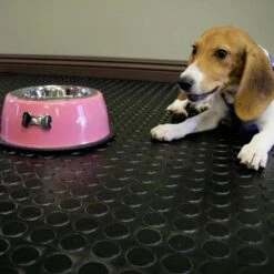 Rubber-Cal Coin Grip 4 Ft. X 6 Ft. Dark Grey Commercial Grade PVC Flooring 14 Rubber-Cal Coin Grip 4 Ft. X 6 Ft. Dark Grey Commercial Grade PVC Flooring -Discount Flooring Store e7cc9b0b8b2b9fd80a5543d442311481 e336d904 6eb5 4f73 b02f 5f2ba11f9b62 1800x1800